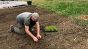 A man is planting crops by hand in a small field. There is a polytunnel in the background.