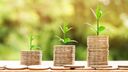 Green shoots growing from stacked coins