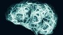 Brain graphic