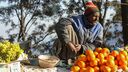 An Indian man sits at a roadside stall selling oranges in Himachal Pradesh, India. Image by Ibadat Singh.