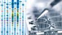 Image of genetic testing
