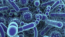 A picture of how microbes would look in the human body