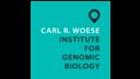Carl R Woese Institute for Genomic Biology logo