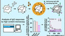  Establishing SARS-CoV-2 membrane protein-specific antibodies