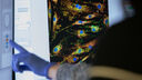 A gloved hand pointing at a screen showing research data