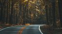 A road running through trees at dusk