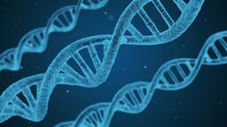 DNA strand 