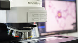 A scientific microscope and display screen