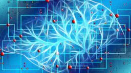 Picture of a brain scan with red dots and squares