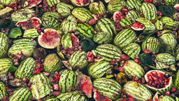 A pile of pieces of watermelon
