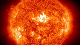 The sun