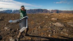 Arctic greening