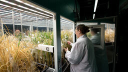 Arthur Willis Environment Centre