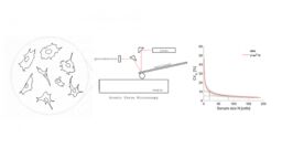 Graphical Abstract, showing cells, atomic force microscopy and the effect of sample size on the coefficient of variance of the Young’s modulus of the cells