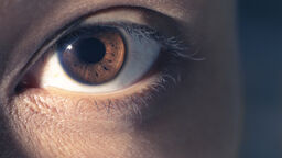 A close up of a person with brown eyes