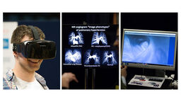 A collage of images from the Insigneo showcase