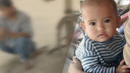 ScHARR contribute to two qualitative systematic reviews as part of a new WHO Guideline: infant feeding in areas of Zika virus transmission