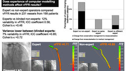 Figure: Does Experience of computer modelling methods affect vFFR results?