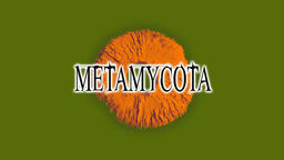 "METAMYCOTA"