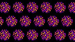 Chloroplasts imaged by SIM