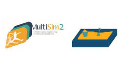 MultiSim Sandpit event graphic