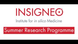 Insigneo Summer Research Programme Graphic