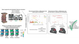 Graphical Abstract of Bone Paper