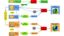 Workflow of the image processing