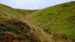 A photo of the sheep-grazed upland grassland at our field site in Plynlimon, North wales