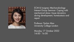 Insigneo Seminar graphic Yanlan Mao talk details