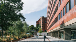 Exterior image of concourse with the alfred denny (red brick building) on the right side