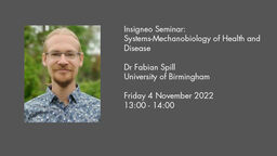 Insigneo Seminar graphic Fabian Spill talk details