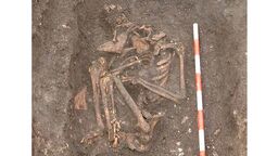A photo of skeleton SK3870 on site at the excavations at York Barbican. Credit: On Site Archaeology.