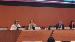 Dorothea Kleine at UN