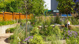 Gell Street Pocket Park 