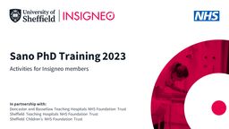INSIGNEO Sano PhD Training 2023 graphic