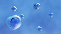 depiction of human cells