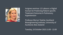 Image graphic: Insigneo seminar: Professor Merryn&nbsp;Tawhai,&nbsp;Director of the Auckland Bioengineering Institute,&nbsp;University of Auckland, New Zealand  Tuesday 10 October 2023