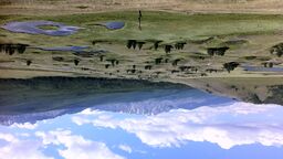 Siberian permafrost mire