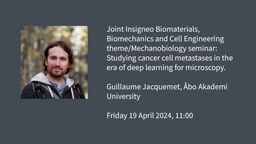 Event graphic: Joint Insigneo&nbsp;Biomaterials, Biomechanics and Cell Engineering theme/Mechanobiology seminar: Studying cancer cell metastases in the era of deep learning for microscopy.  Guillaume Jacquemet, Åbo Akademi University  Friday 19 April 2024, 11:00