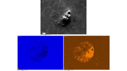Electron micrograph and Energy Dispersive Spectroscopy elemental colour maps