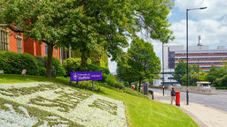 Firth court flower bed