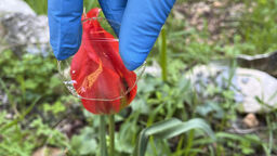 Close up image of plastic film