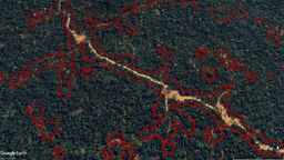 A google earth image showing data from the digital tools identifying where selective-logging has taken place in the rainforest.