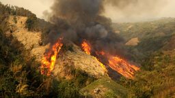 A wildfire spreading across a hillside