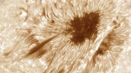Observations of a sunspot taken on 04/10/2017