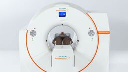 2025 Franklin Aigbirhio total body PET scanner