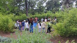 immersive installation 