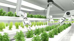 TECHNO GARDENING