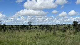 Kruger National Park, South Africa